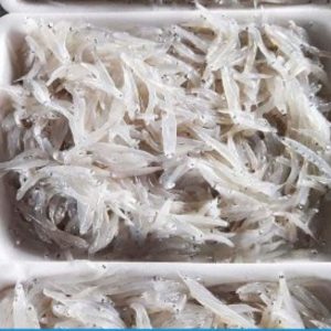 Cá Cơm Mờn Sữa