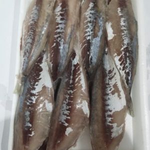 Cá Nục 1 Nắng