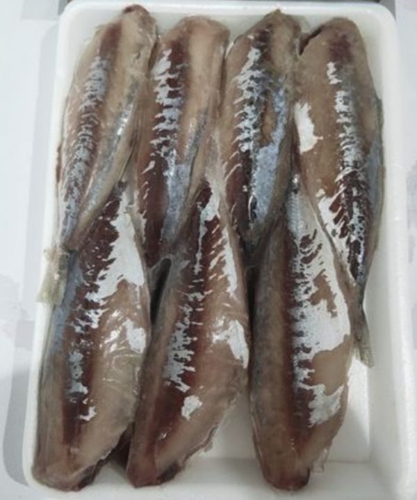 Cá Nục 1 Nắng