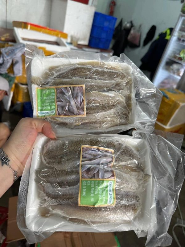 Cá Mối Hương Phi Lê