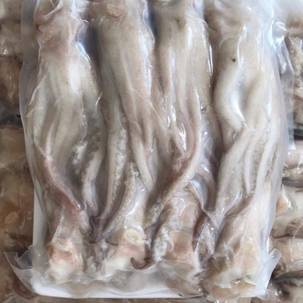 Đầu Râu Mực