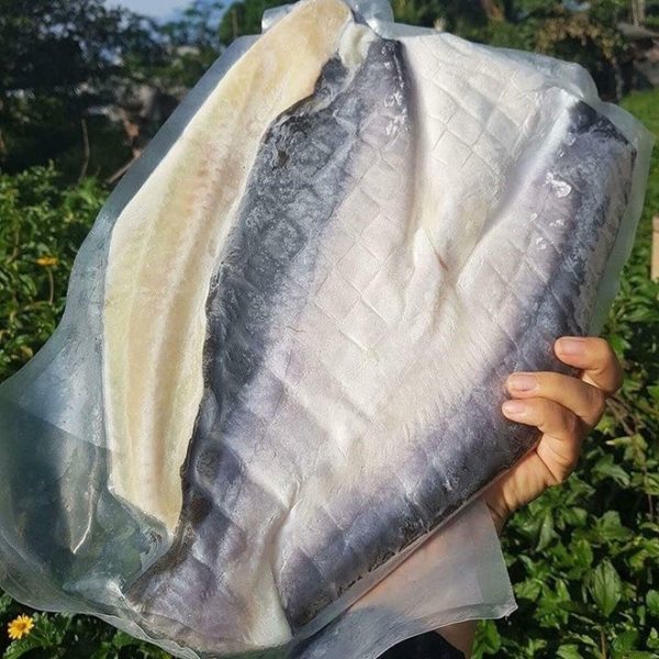 Cá Dứa Nguyên Con