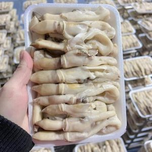 Ruột Ốc Móng Tay