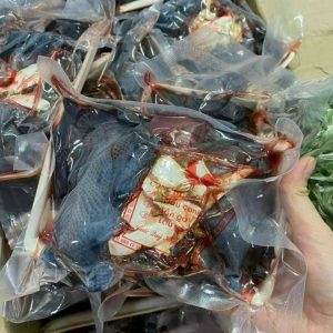 Set Gà Tiềm Thuốc Bắc