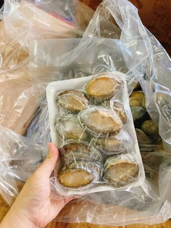 Bào Ngư