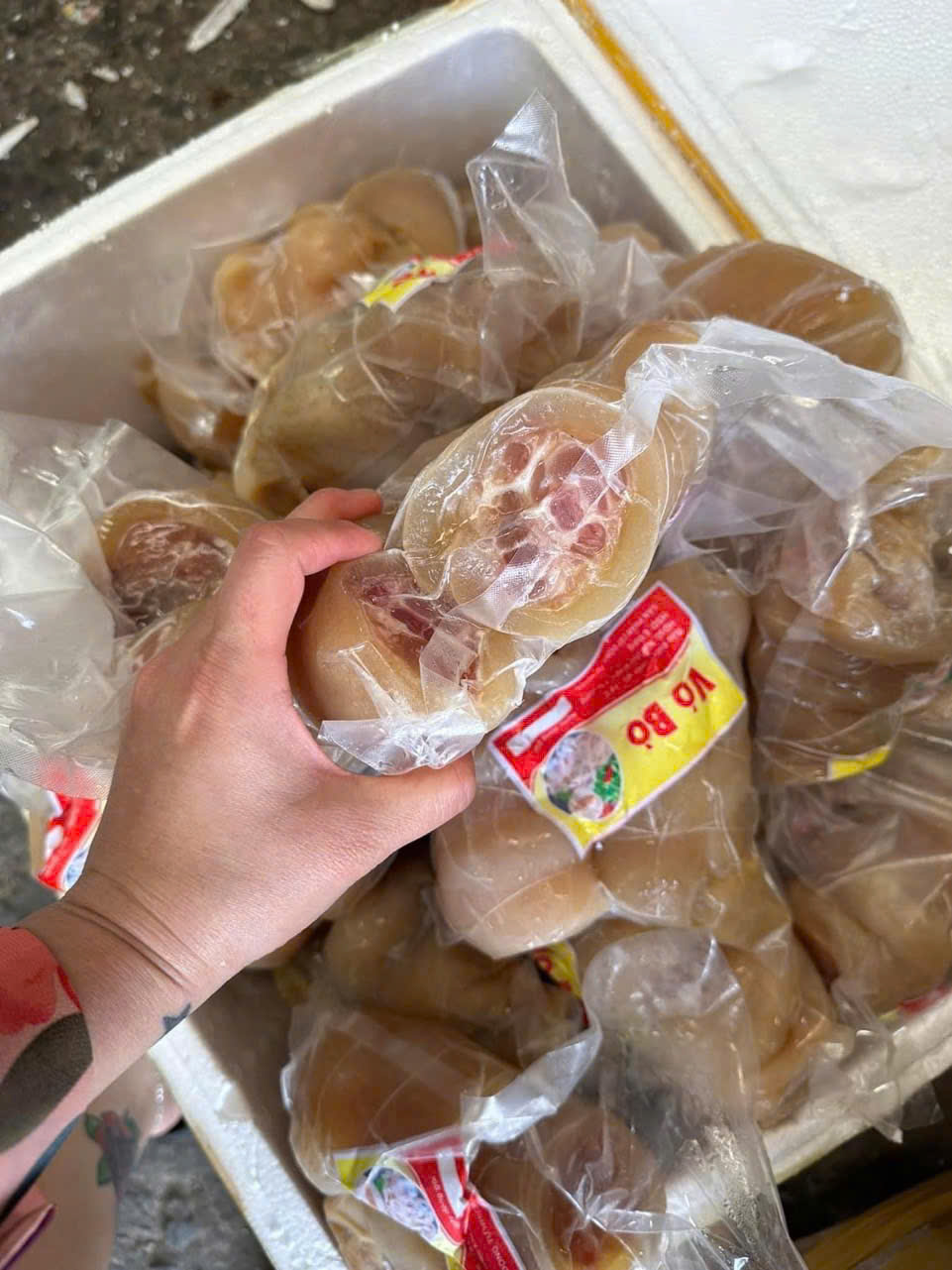 Vó Heo Rút Xương