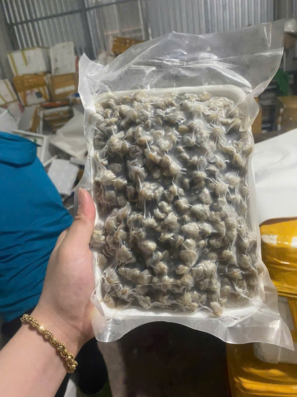 Ruột Hến Sạch Cát Nét 8
