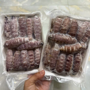 Nõn Tôm tít ( bề bề)