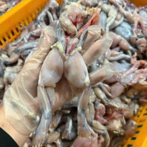 Ếch làm sạch nguyên con