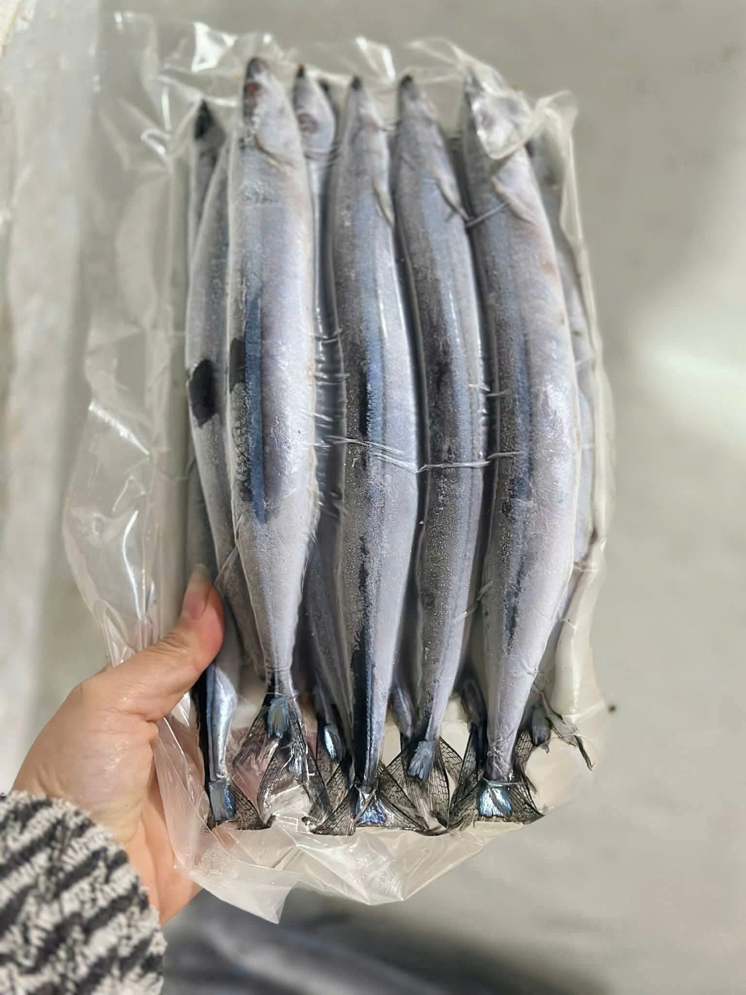 cá thu nhật( cá kìm)